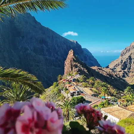 Lejlighed Apartamento Buganvilla - Los Gigantes