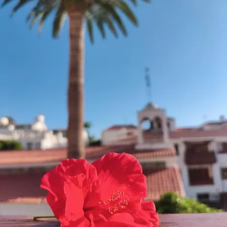 Διαμέρισμα Apartamento Buganvilla - Los Gigantes
